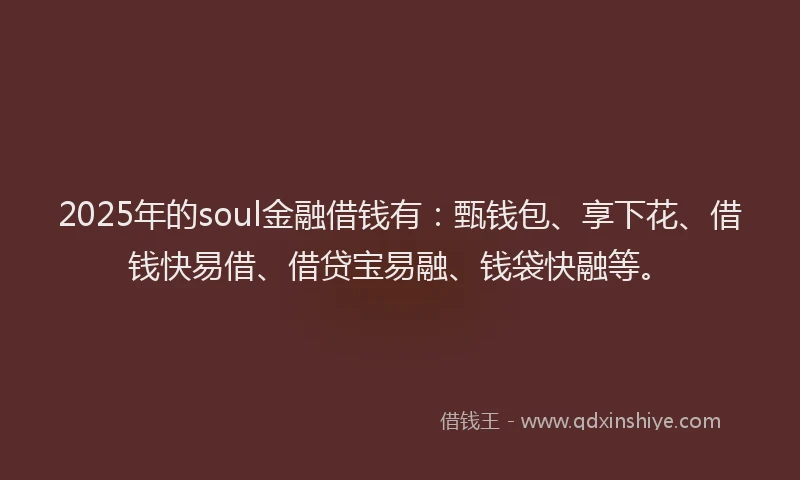 2025年的soul金融借钱有：甄钱包、享下花、借钱快易借、借贷宝易融、钱袋快融等。