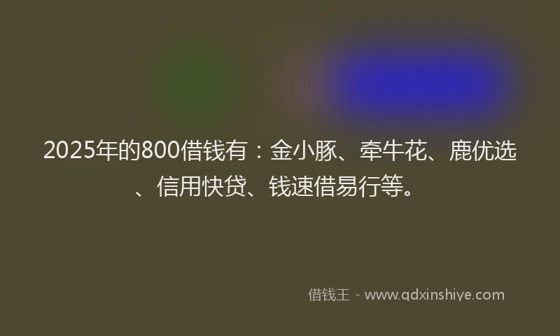 2025年的800借钱有：金小豚、牵牛花、鹿优选、信用快贷、钱速借易行等。