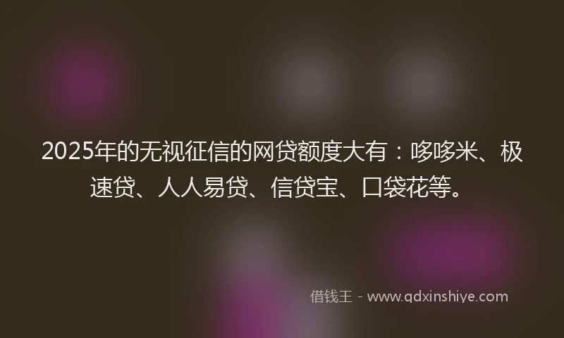 2025年的无视征信的网贷额度大有：哆哆米、极速贷、人人易贷、信贷宝、口袋花等。