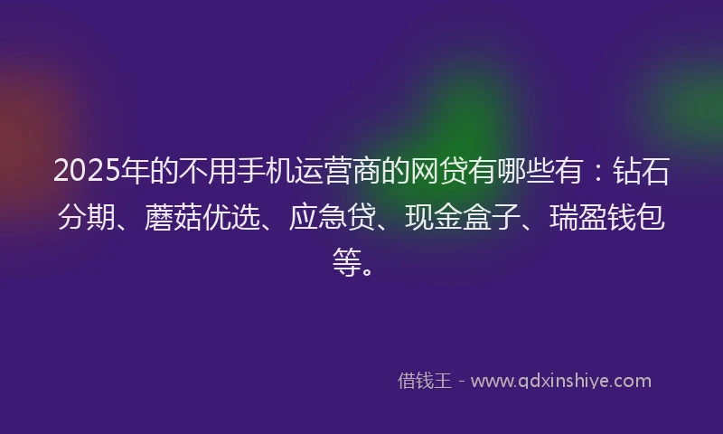 2025年的不用手机运营商的网贷有哪些有：钻石分期、蘑菇优选、应急贷、现金盒子、瑞盈钱包等。