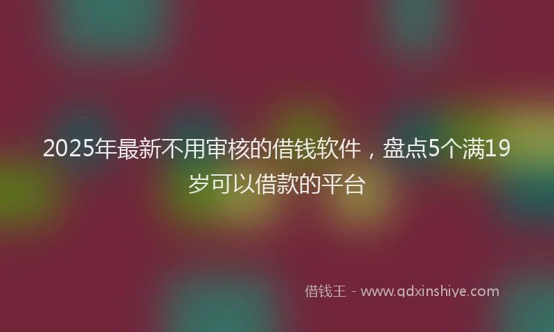 2025年最新不用审核的借钱软件，盘点5个满19岁可以借款的平台