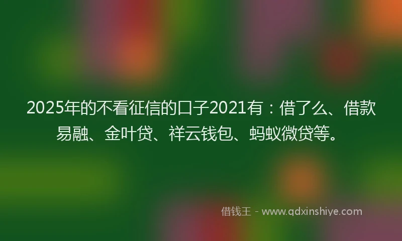 2025年的不看征信的口子2021有：借了么、借款易融、金叶贷、祥云钱包、蚂蚁微贷等。