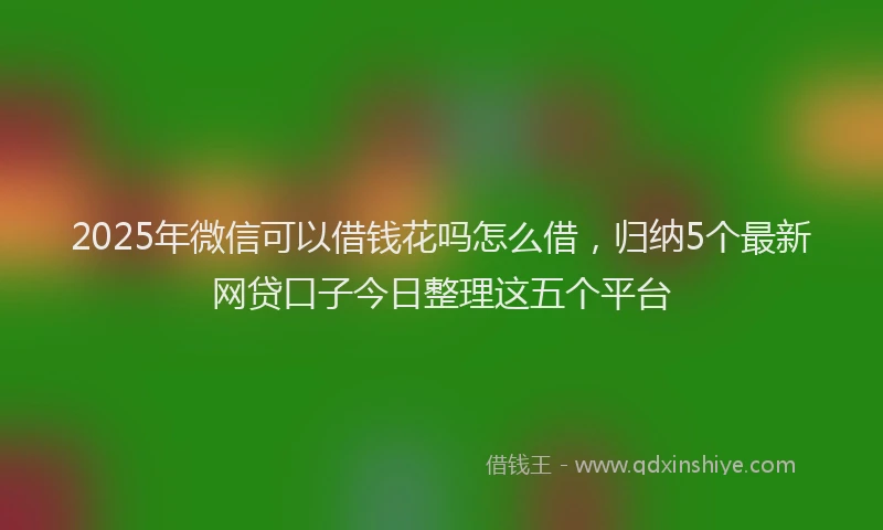 2025年微信可以借钱花吗怎么借，归纳5个最新网贷口子今日整理这五个平台
