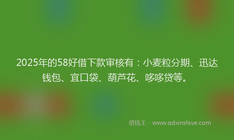 2025年的58好借下款审核有：小麦粒分期、迅达钱包、宜口袋、葫芦花、哆哆贷等。