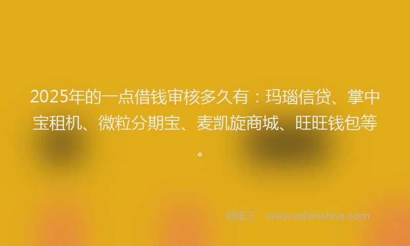 2025年的一点借钱审核多久有：玛瑙信贷、掌中宝租机、微粒分期宝、麦凯旋商城、旺旺钱包等。