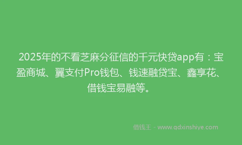 2025年的不看芝麻分征信的千元快贷app有：宝盈商城、翼支付Pro钱包、钱速融贷宝、鑫享花、借钱宝易融等。