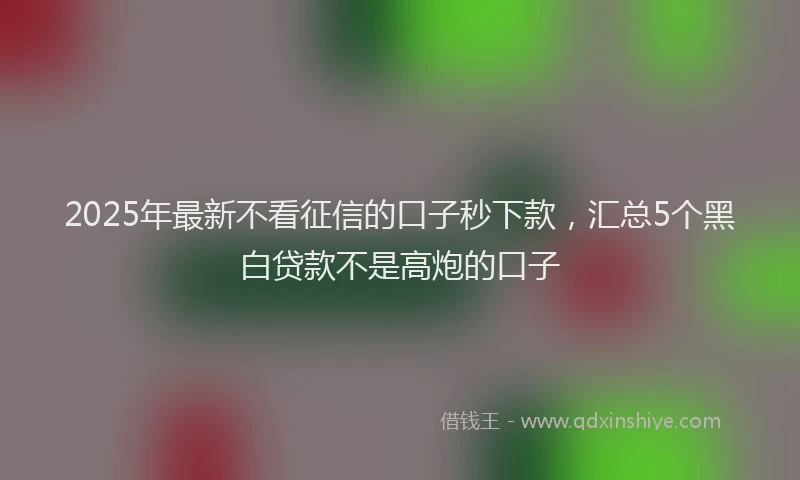 2025年最新不看征信的口子秒下款，汇总5个黑白贷款不是高炮的口子