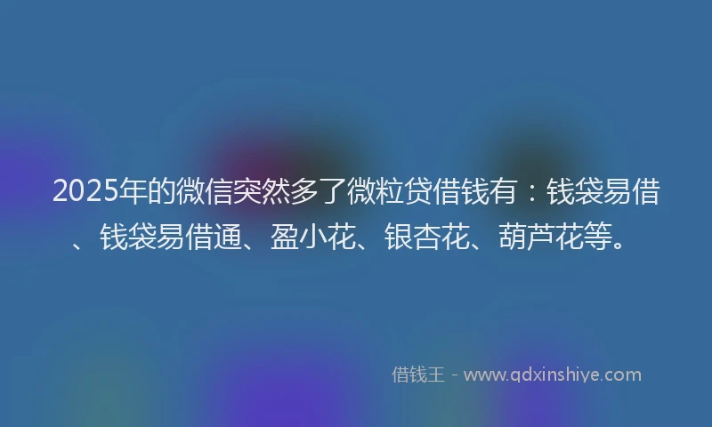 2025年的微信突然多了微粒贷借钱有：钱袋易借、钱袋易借通、盈小花、银杏花、葫芦花等。