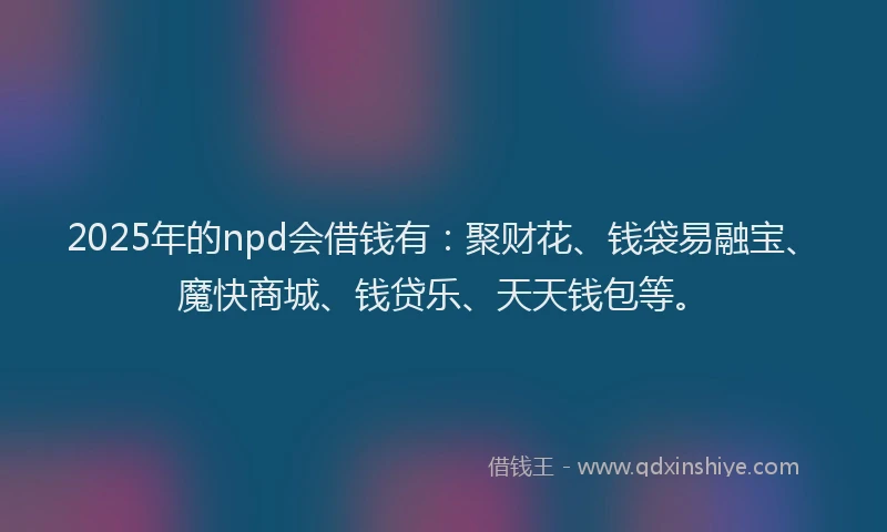 2025年的npd会借钱有：聚财花、钱袋易融宝、魔快商城、钱贷乐、天天钱包等。