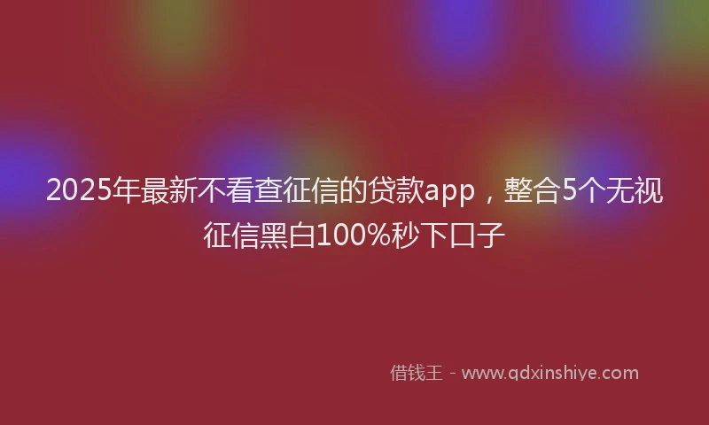 2025年最新不看查征信的贷款app，整合5个无视征信黑白100%秒下口子