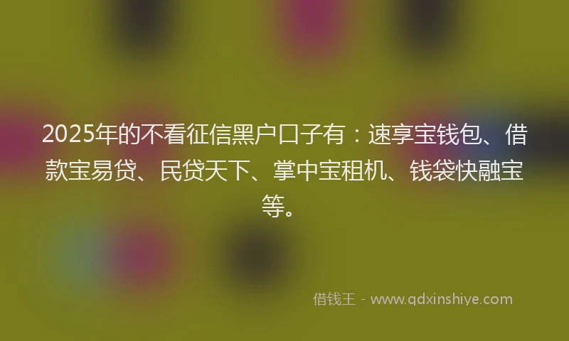 2025年的不看征信黑户口子有：速享宝钱包、借款宝易贷、民贷天下、掌中宝租机、钱袋快融宝等。