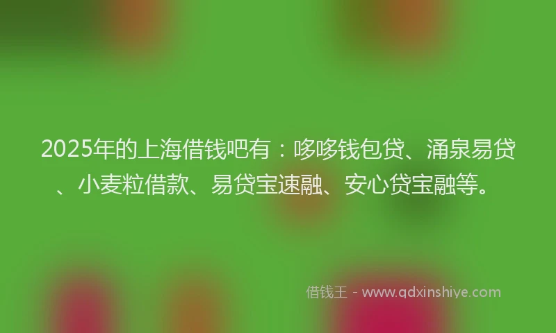 2025年的上海借钱吧有：哆哆钱包贷、涌泉易贷、小麦粒借款、易贷宝速融、安心贷宝融等。