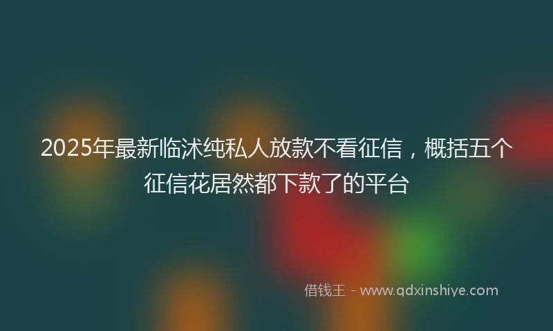 2025年最新临沭纯私人放款不看征信，概括五个征信花居然都下款了的平台