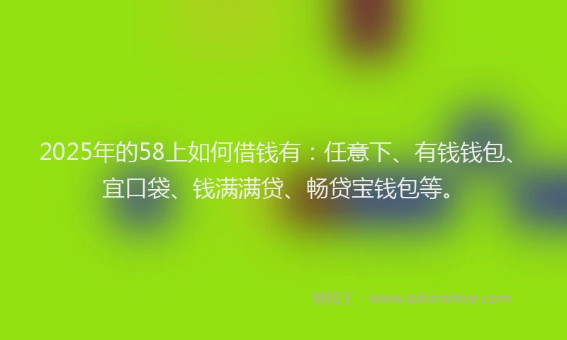 2025年的58上如何借钱有：任意下、有钱钱包、宜口袋、钱满满贷、畅贷宝钱包等。
