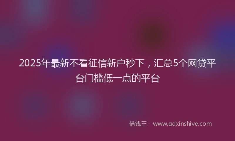 2025年最新不看征信新户秒下，汇总5个网贷平台门槛低一点的平台