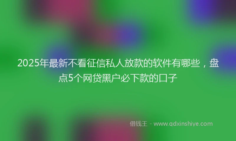2025年最新不看征信私人放款的软件有哪些，盘点5个网贷黑户必下款的口子
