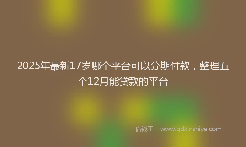 2025年最新17岁哪个平台可以分期付款，整理五个12月能贷款的平台