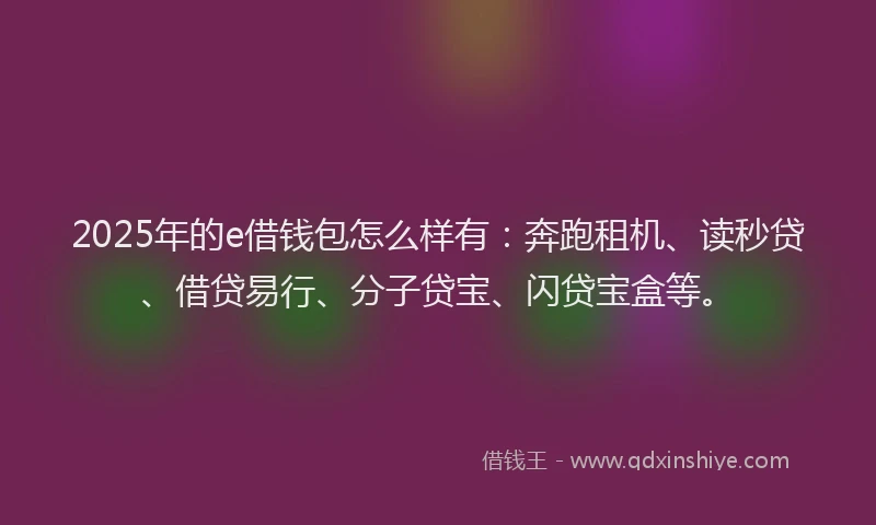 2025年的e借钱包怎么样有：奔跑租机、读秒贷、借贷易行、分子贷宝、闪贷宝盒等。