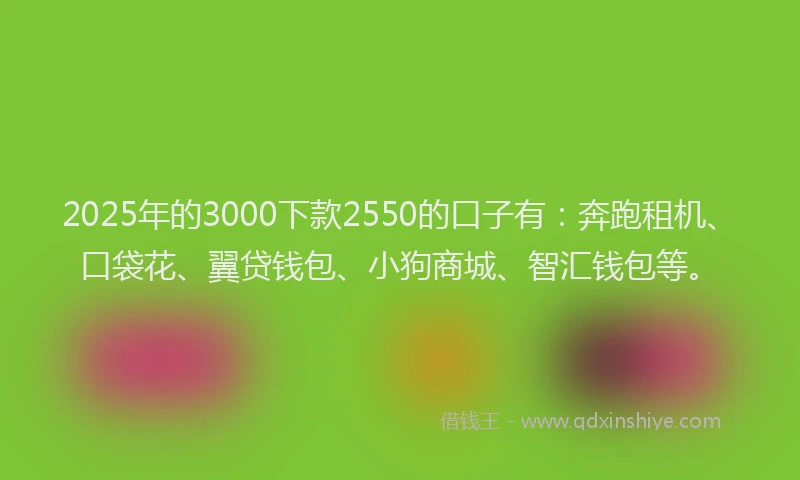 2025年的3000下款2550的口子有：奔跑租机、口袋花、翼贷钱包、小狗商城、智汇钱包等。