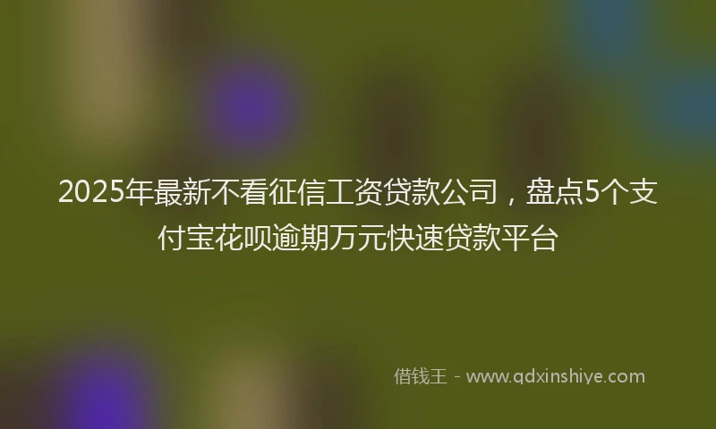 2025年最新不看征信工资贷款公司，盘点5个支付宝花呗逾期万元快速贷款平台