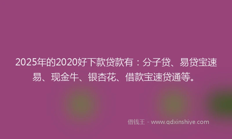 2025年的2020好下款贷款有：分子贷、易贷宝速易、现金牛、银杏花、借款宝速贷通等。