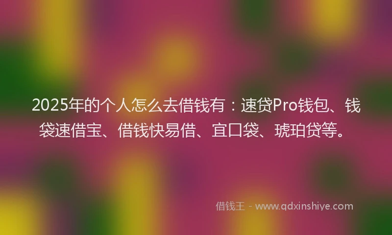 2025年的个人怎么去借钱有：速贷Pro钱包、钱袋速借宝、借钱快易借、宜口袋、琥珀贷等。