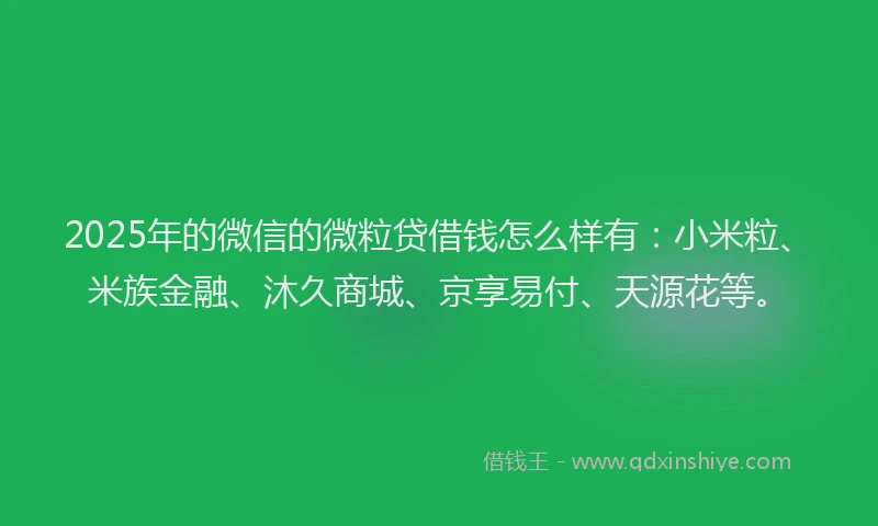 2025年的微信的微粒贷借钱怎么样有：小米粒、米族金融、沐久商城、京享易付、天源花等。