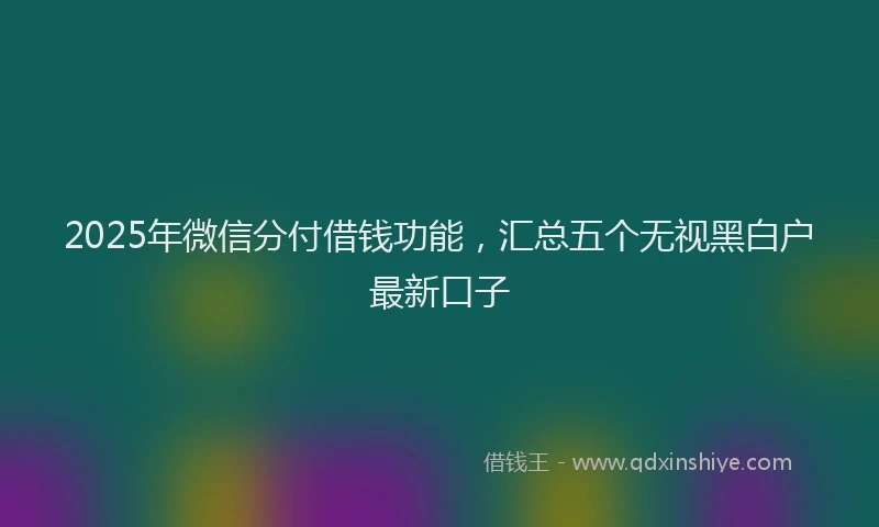 2025年微信分付借钱功能，汇总五个无视黑白户最新口子