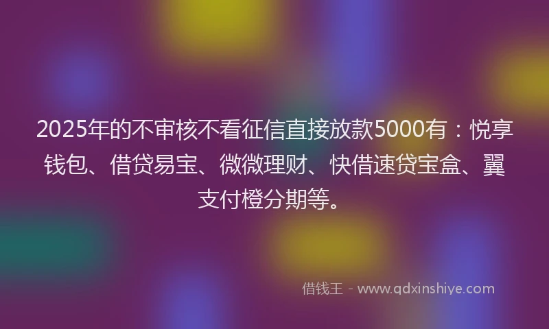 2025年的不审核不看征信直接放款5000有：悦享钱包、借贷易宝、微微理财、快借速贷宝盒、翼支付橙分期等。