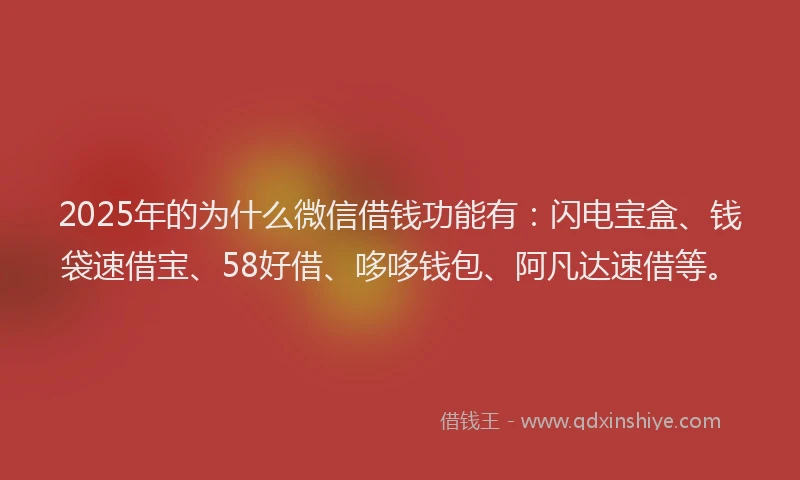 2025年的为什么微信借钱功能有：闪电宝盒、钱袋速借宝、58好借、哆哆钱包、阿凡达速借等。