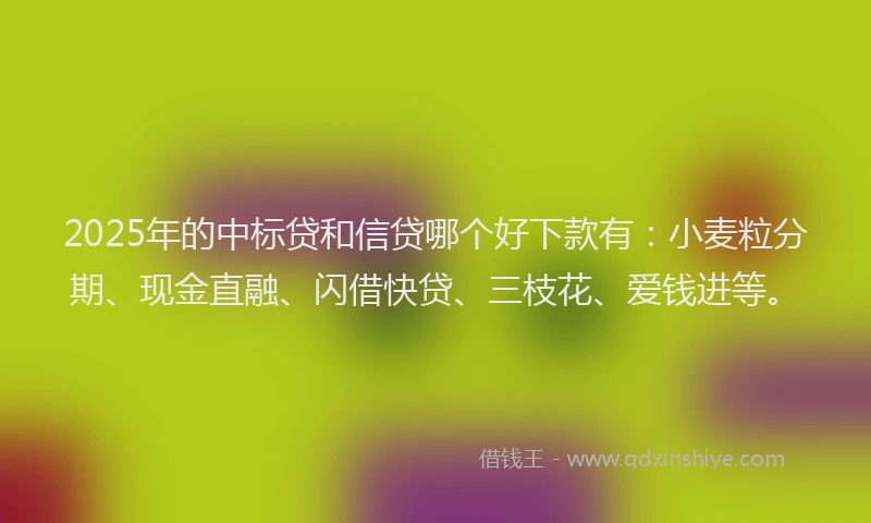 2025年的中标贷和信贷哪个好下款有：小麦粒分期、现金直融、闪借快贷、三枝花、爱钱进等。