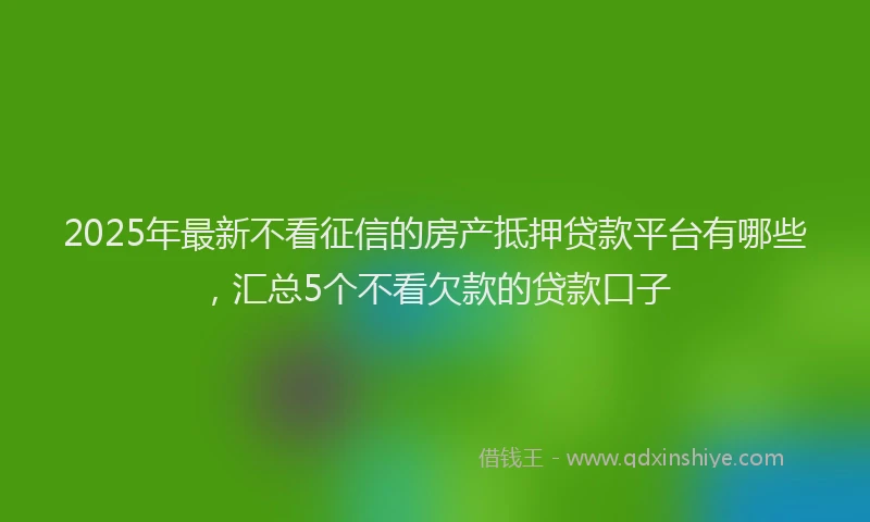 2025年最新不看征信的房产抵押贷款平台有哪些，汇总5个不看欠款的贷款口子