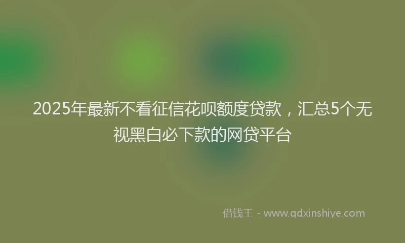 2025年最新不看征信花呗额度贷款，汇总5个无视黑白必下款的网贷平台