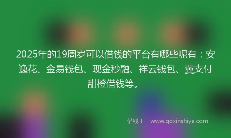 2025年的19周岁可以借钱的平台有哪些呢有：安逸花、金易钱包、现金秒融、祥云钱包、翼支付甜橙借钱等。