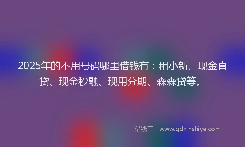 2025年的不用号码哪里借钱有：租小新、现金直贷、现金秒融、现用分期、森森贷等。