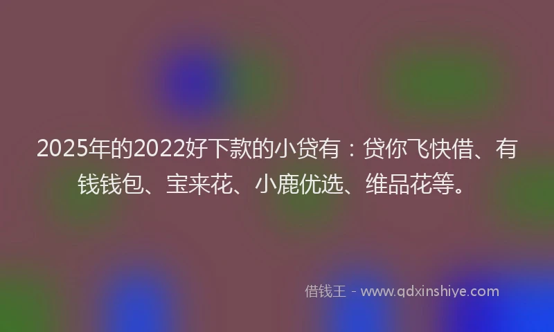 2025年的2022好下款的小贷有：贷你飞快借、有钱钱包、宝来花、小鹿优选、维品花等。