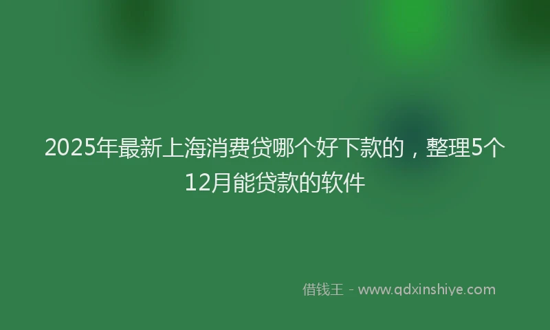 2025年最新上海消费贷哪个好下款的，整理5个12月能贷款的软件