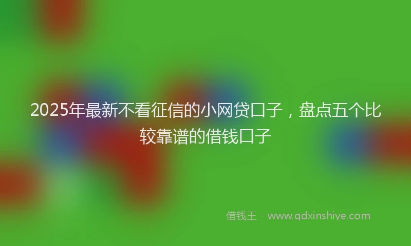 2025年最新不看征信的小网贷口子，盘点五个比较靠谱的借钱口子
