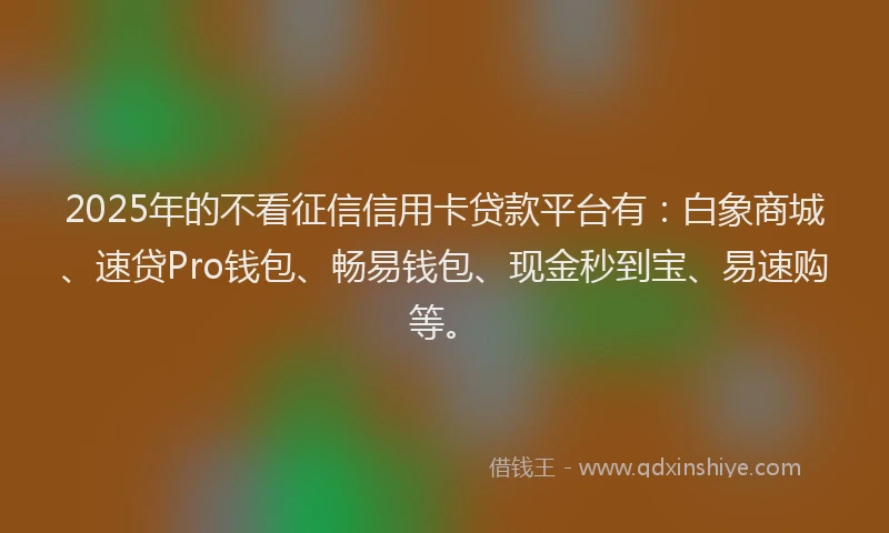 2025年的不看征信信用卡贷款平台有：白象商城、速贷Pro钱包、畅易钱包、现金秒到宝、易速购等。