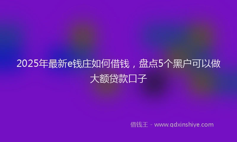 2025年最新e钱庄如何借钱，盘点5个黑户可以做大额贷款口子