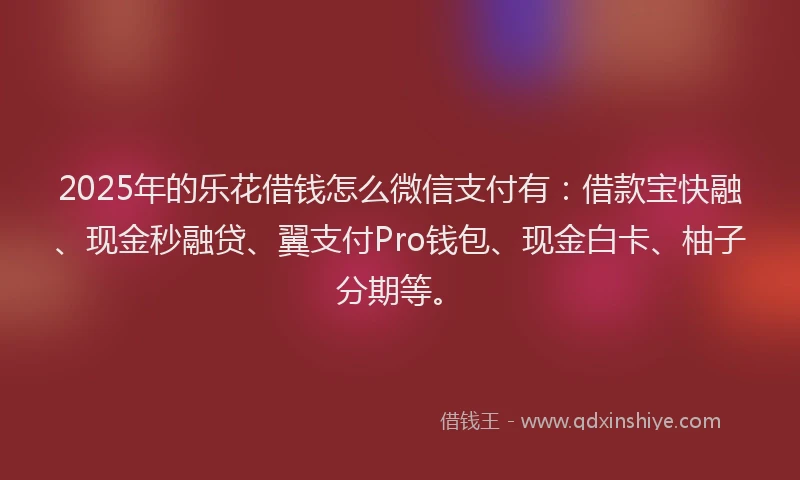 2025年的乐花借钱怎么微信支付有：借款宝快融、现金秒融贷、翼支付Pro钱包、现金白卡、柚子分期等。