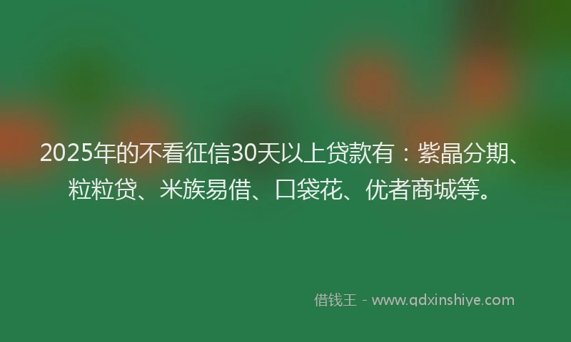 2025年的不看征信30天以上贷款有：紫晶分期、粒粒贷、米族易借、口袋花、优者商城等。