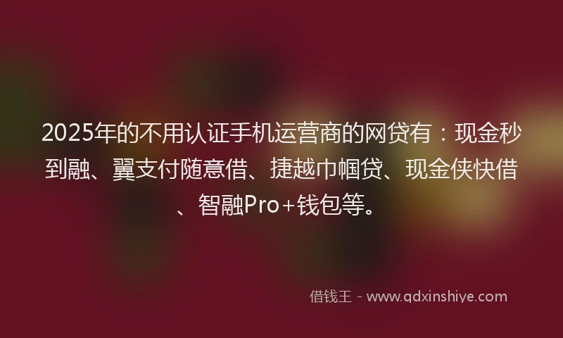 2025年的不用认证手机运营商的网贷有：现金秒到融、翼支付随意借、捷越巾帼贷、现金侠快借、智融Pro+钱包等。