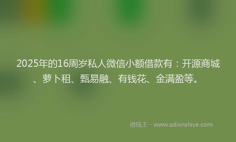 2025年的16周岁私人微信小额借款有：开源商城、萝卜租、甄易融、有钱花、金满盈等。