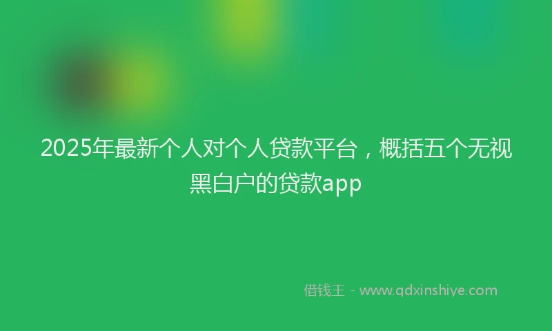 2025年最新个人对个人贷款平台，概括五个无视黑白户的贷款app