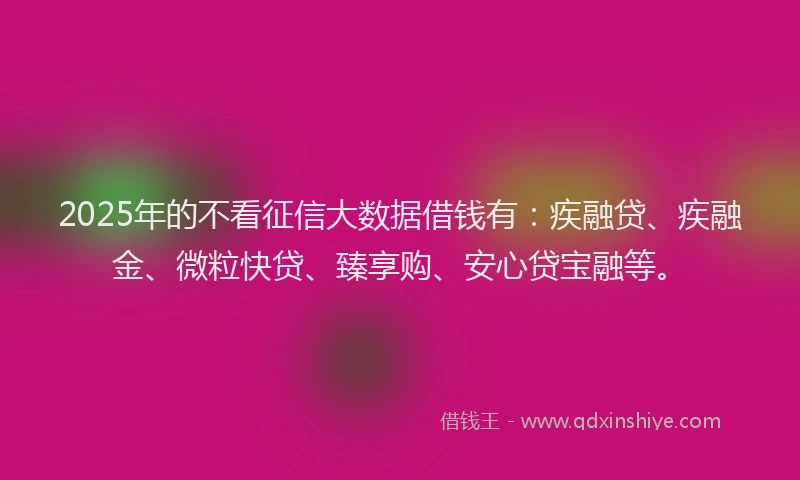 2025年的不看征信大数据借钱有：疾融贷、疾融金、微粒快贷、臻享购、安心贷宝融等。
