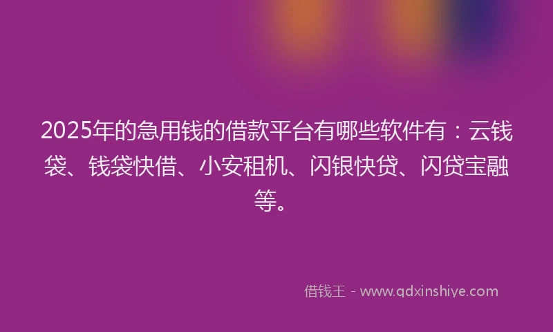 2025年的急用钱的借款平台有哪些软件有：云钱袋、钱袋快借、小安租机、闪银快贷、闪贷宝融等。