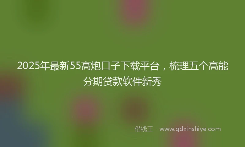 2025年最新55高炮口子下载平台，梳理五个高能分期贷款软件新秀