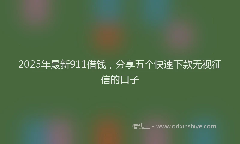 2025年最新911借钱，分享五个快速下款无视征信的口子