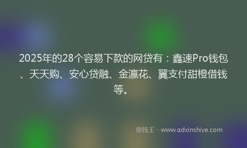 2025年的28个容易下款的网贷有：鑫速Pro钱包、天天购、安心贷融、金瀛花、翼支付甜橙借钱等。